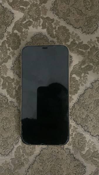 Apple Iphone 12 Pro Max 128 GB 1