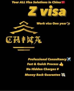 All In The World Visas Solutions China Residence Work Visa