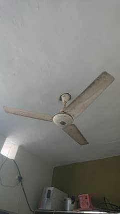 Pak cieling fan 56 inch size energy saver, 2 pieces, 7000 each 0