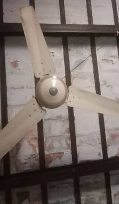ceiling fan for use