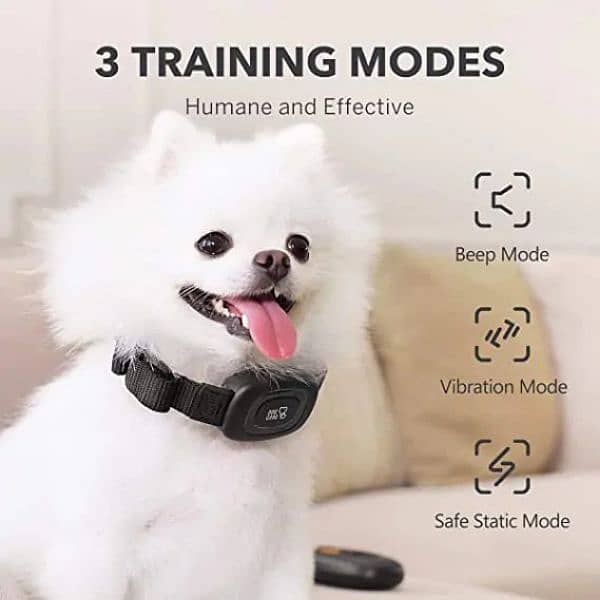 Dog training collar 1
