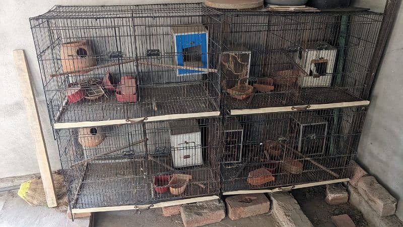 love birds cage urgent sale 3