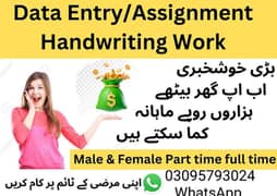 Assignment work available