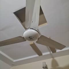 pure copper just like new ceiling fan for sale