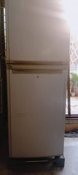 orient  refrigerator Medium to large 2