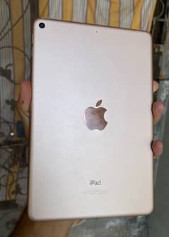 iPad mini 5 64gb 10/10