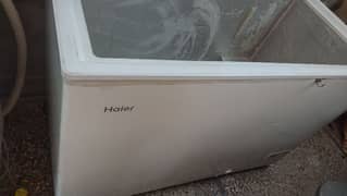 Haier HDF freezer 0