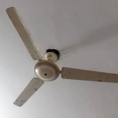 ceiling fan millatt company