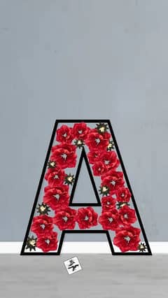 Customisable Floral Transparent Alphabets ect. . .