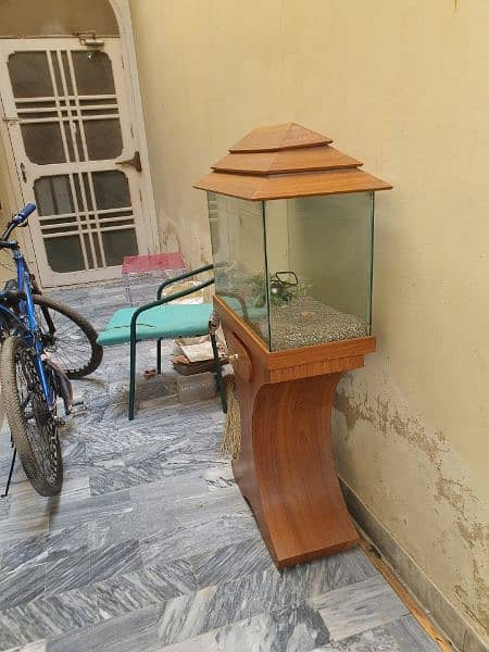 fish aquarium 0