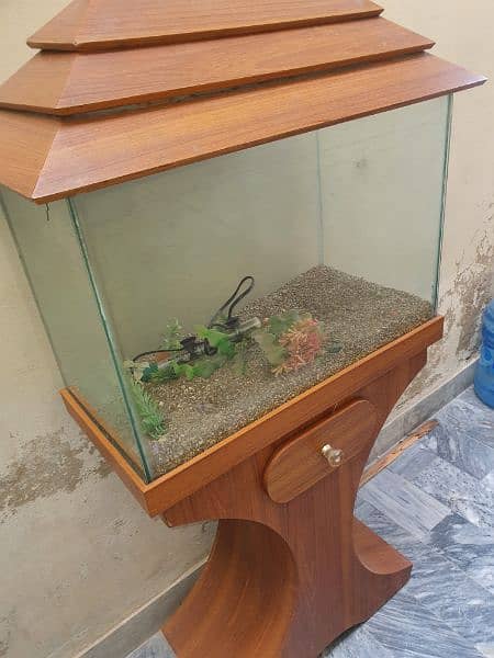 fish aquarium 4