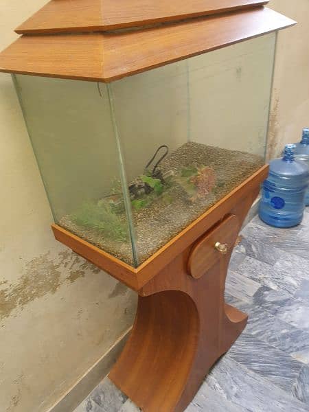 fish aquarium 5