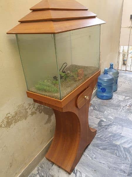fish aquarium 6