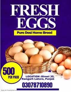Eggs | Desi Hens Eggs | Pure Home breed Eggs For Sale