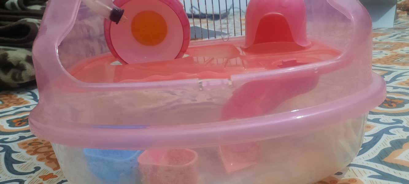 hamster cage 3
