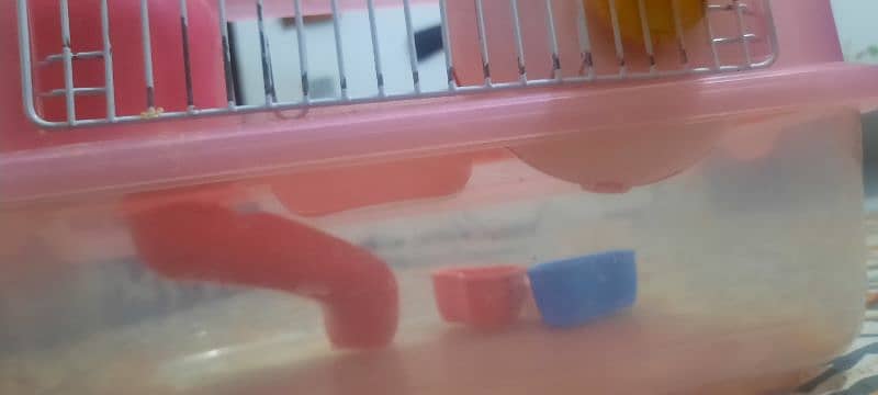 hamster cage 5