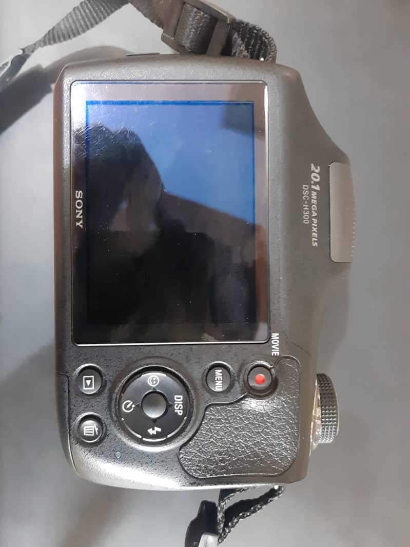 Sony digital camera 2
