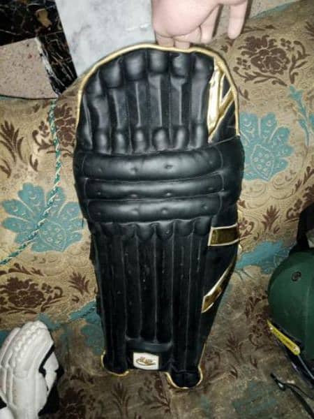 Pads,Helmet,Gloves,ThighPad,Bag  Almost in New Condition 11