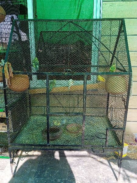 birds hen cat cage big size 1