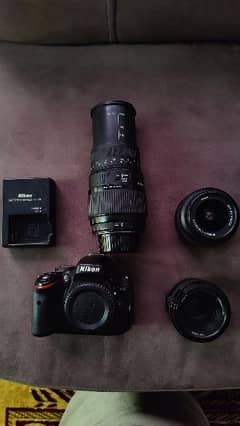 Nikon D5100 with Sigma DG 70-300mm lens