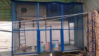 Cage / Pinjiera contact number 03492103931 +923112764584 (urgent sale)