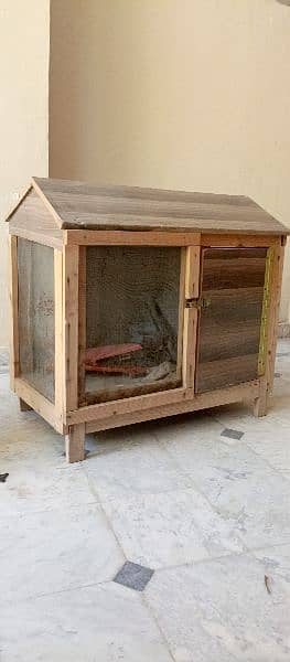 Worden House Cage hens Birds 1