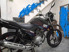 Yamaha YBR G Model#2023 July