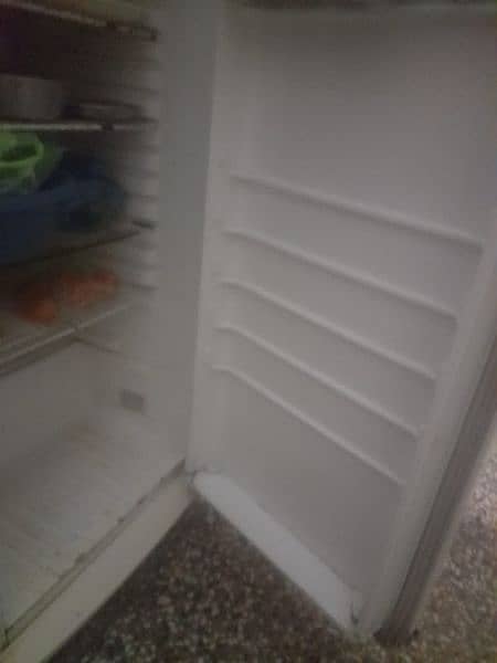 Phillip's refrigerator 2