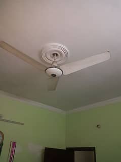 pak fan delux m and meraji fan copper winding 0