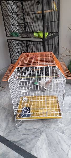 Cages And Birds For Sale 1