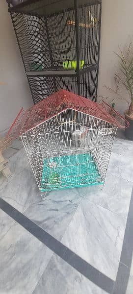 Cages And Birds For Sale 2