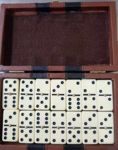 Imported Case Dominos Game set 28 pieces 2