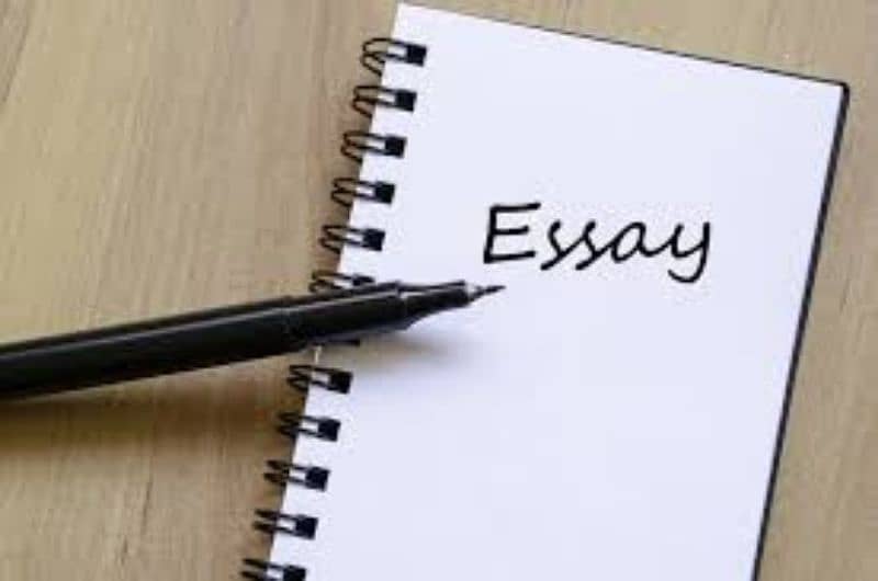 I can write every tipe of essay for you 0