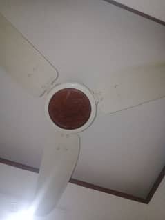 03 Royal ceiling Fan for sale