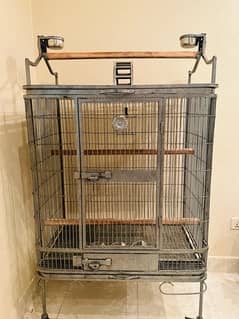 big cage for exotic parrots 0