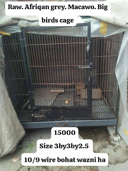 big item cage 03127093372 0