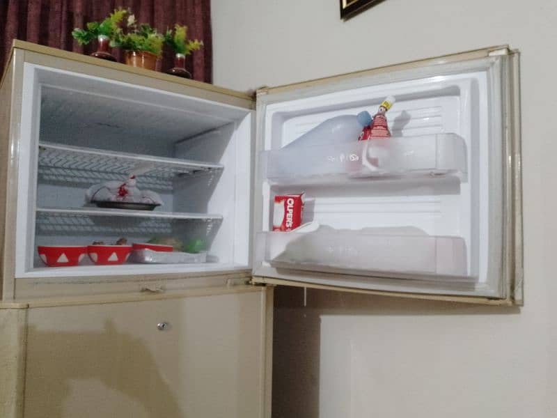 PEL 14 cu ft Refrigerator 5