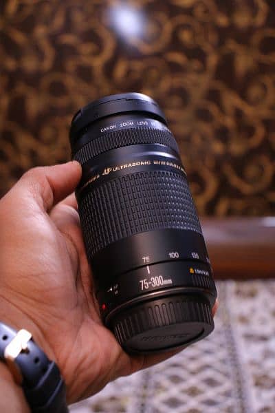 Canon 75 300mm zooming lens. 2 pice available 1