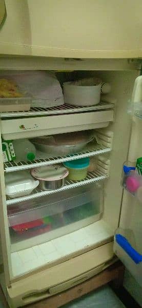 PEL refrigerator for sall 2
