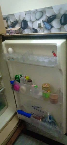 PEL refrigerator for sall 3