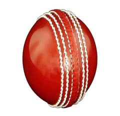 Soft Cricket Practice Ball