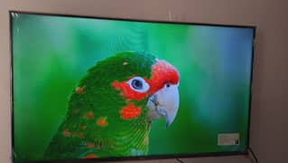 Haier SMART TV 43" FOR SALE (1 YEAR OLD)