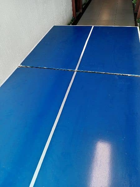 Table tennis 3