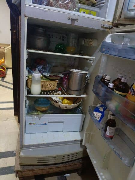 Pel refrigerator 2 door 3