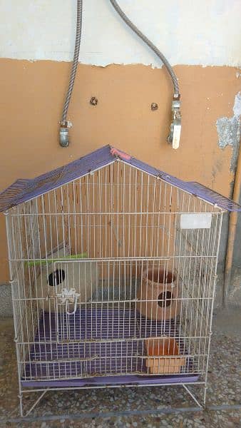cage for sale 1