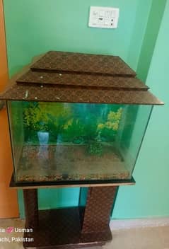 fish aquaria (house)