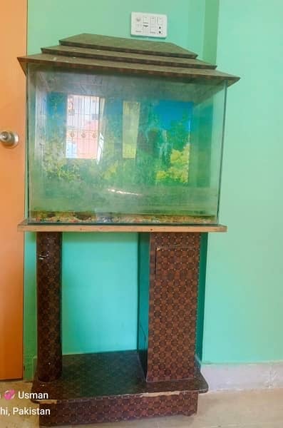 fish aquaria (house) 1
