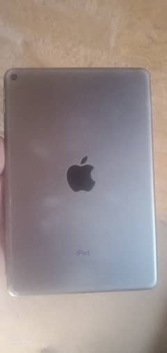 I pad mini 5 with Charger and Box Condition is Okay For Pubg Mobile
