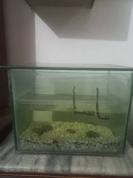 its Aquariam is very useful or less price  only 1500 0