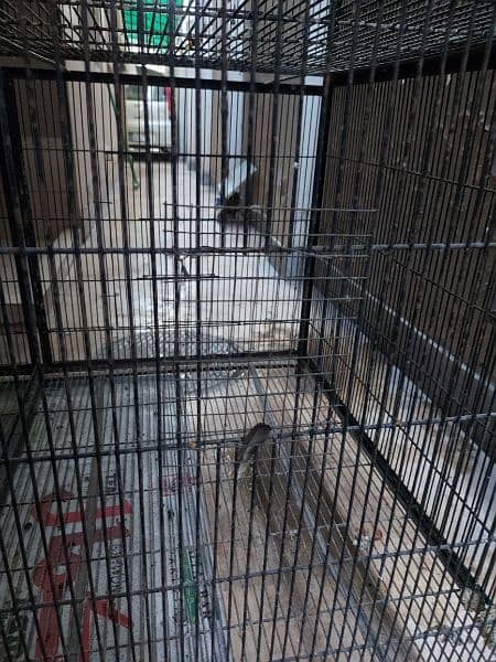 6 Portion cage for sale 4